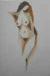 nude_20048.jpg (23548 bytes)